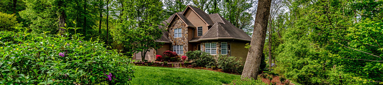 _4134508_HDR-Edit-Edit
